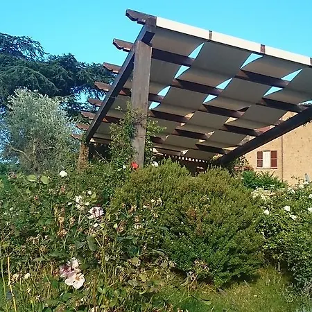Oda ve Kahvaltı Degli Ulivi Orvieto
